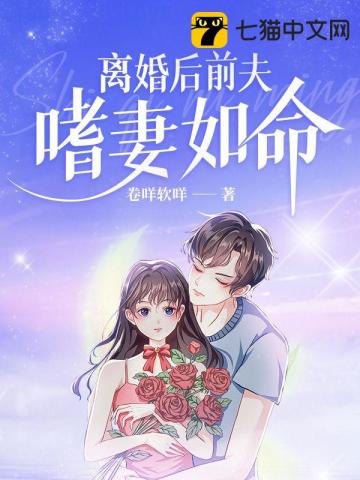 离婚后前夫追妻